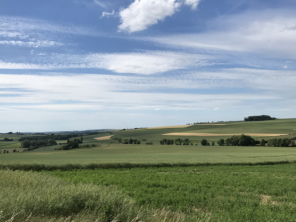 Landscape between Cierges and Sergey, looking west